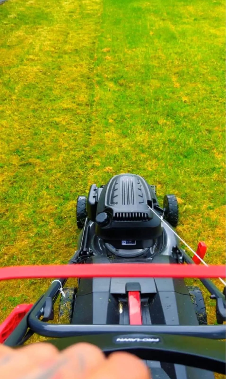 Lawn Cutting in Progress