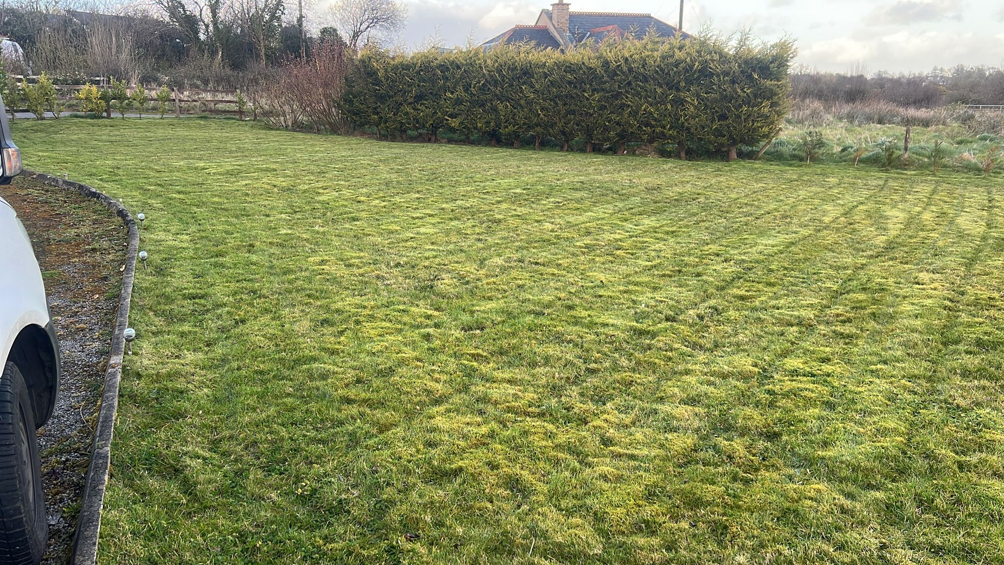 Example of lawn photo for quote