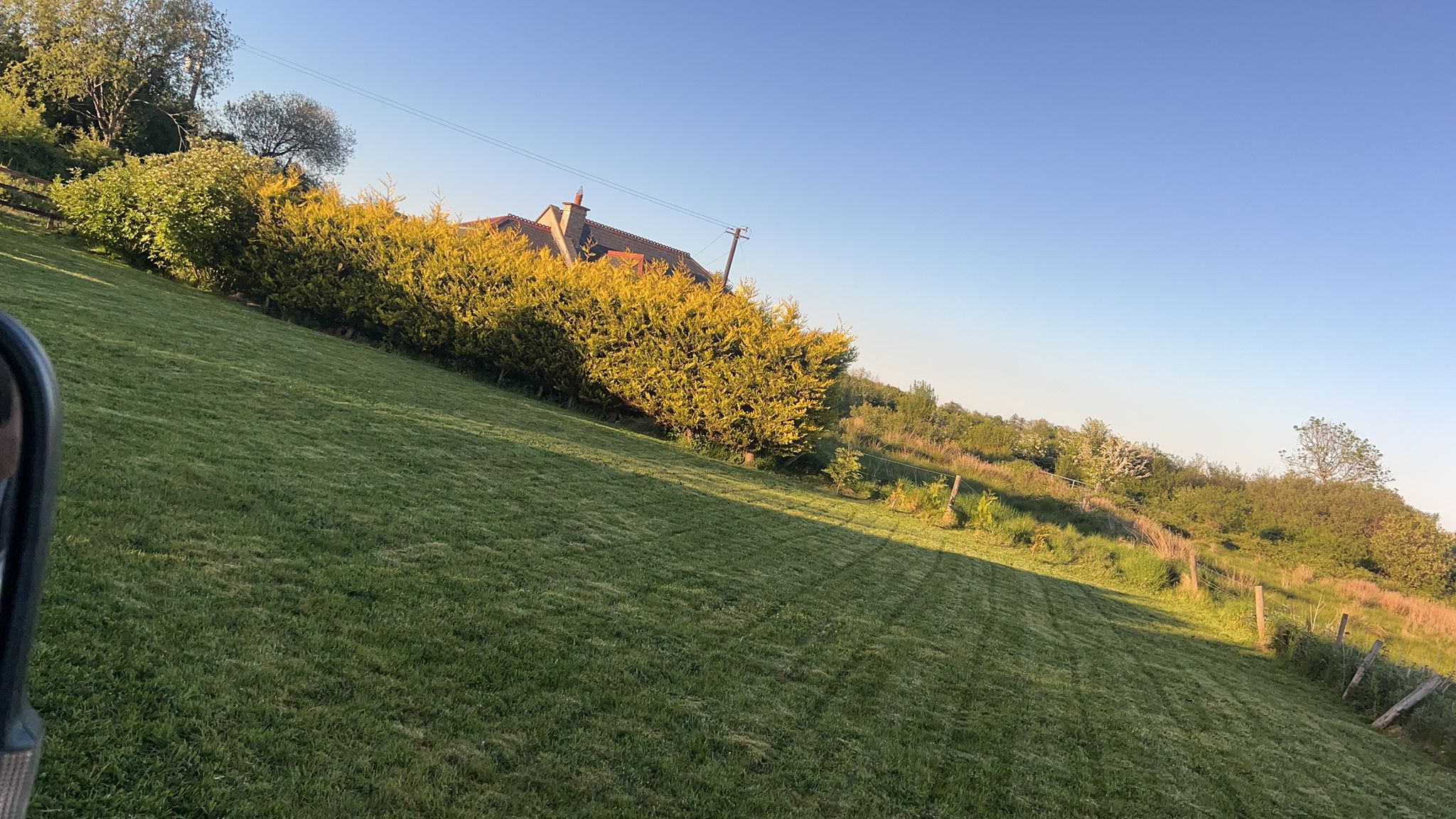 Freshly cut residential lawn with hedges